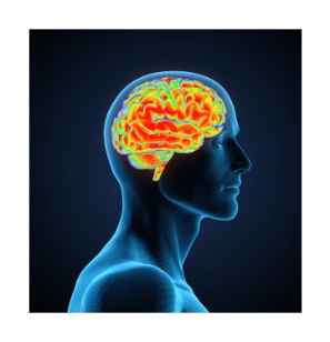 YOUR BRAIN ON INTERNET